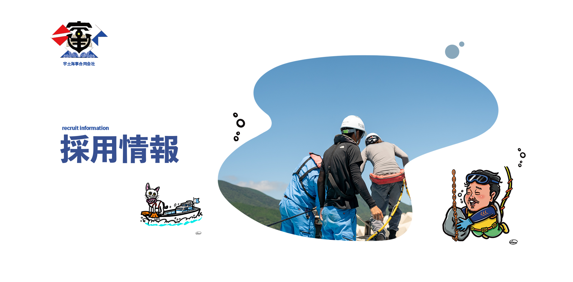 採用情報